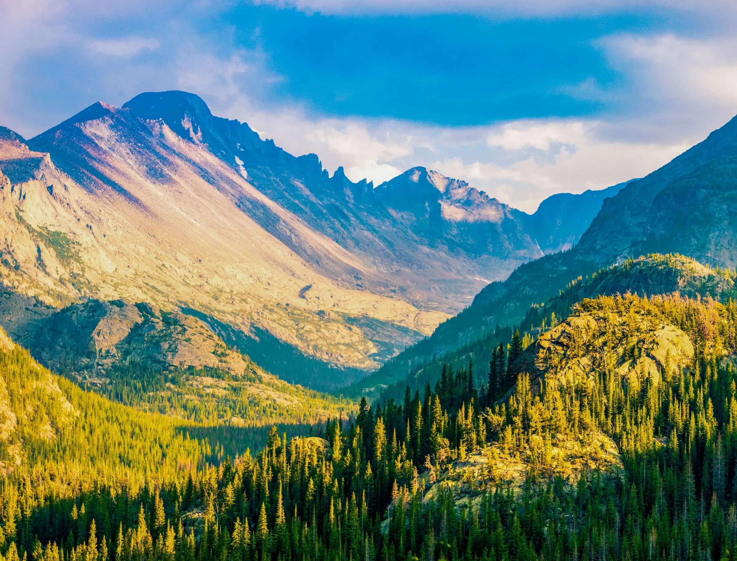 A wide mountain valley with pine forest on its slopes below rocky peaks and a blue sky.