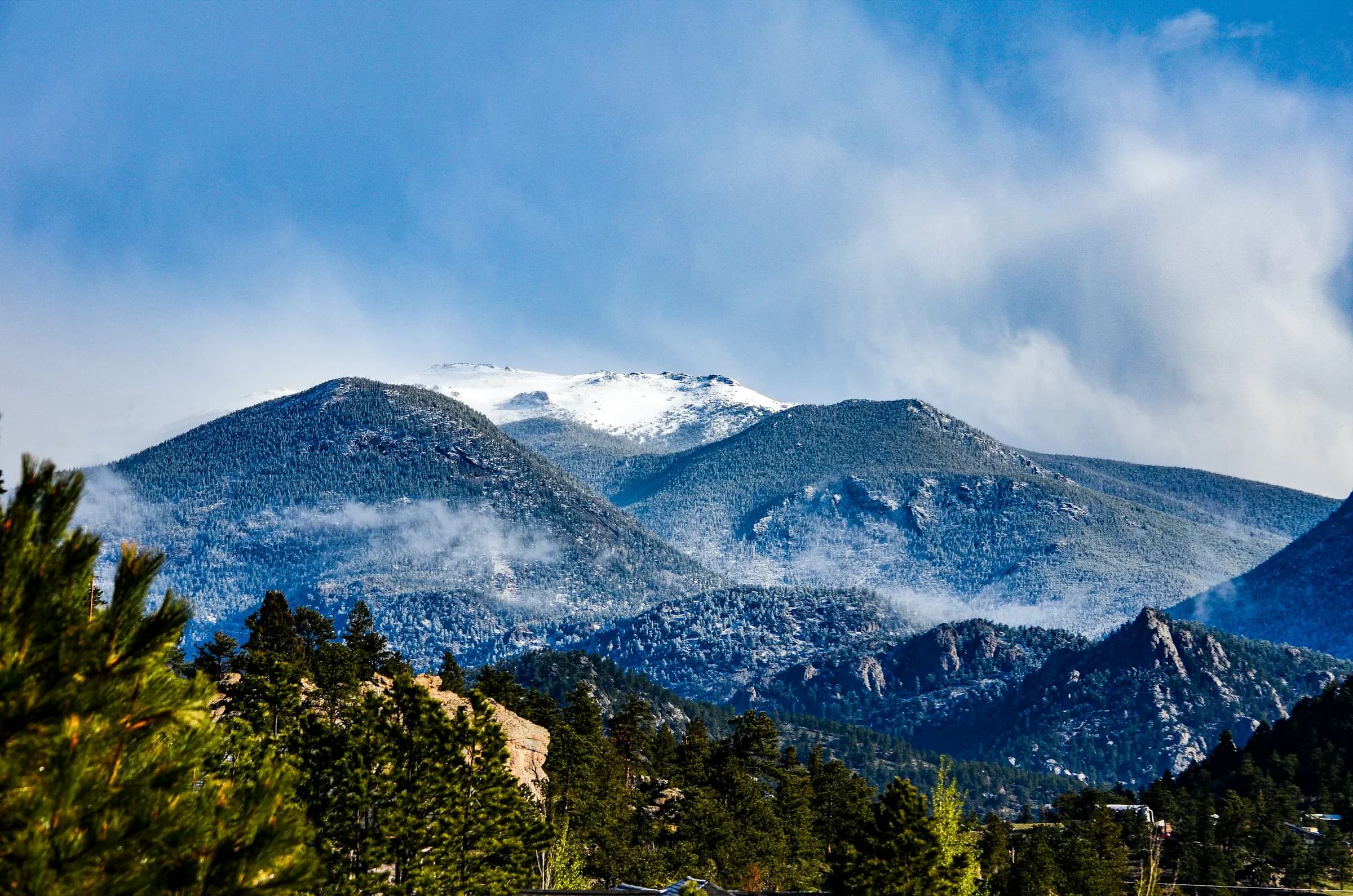 Snow-capped mountains above a pine forest under a blue sky.