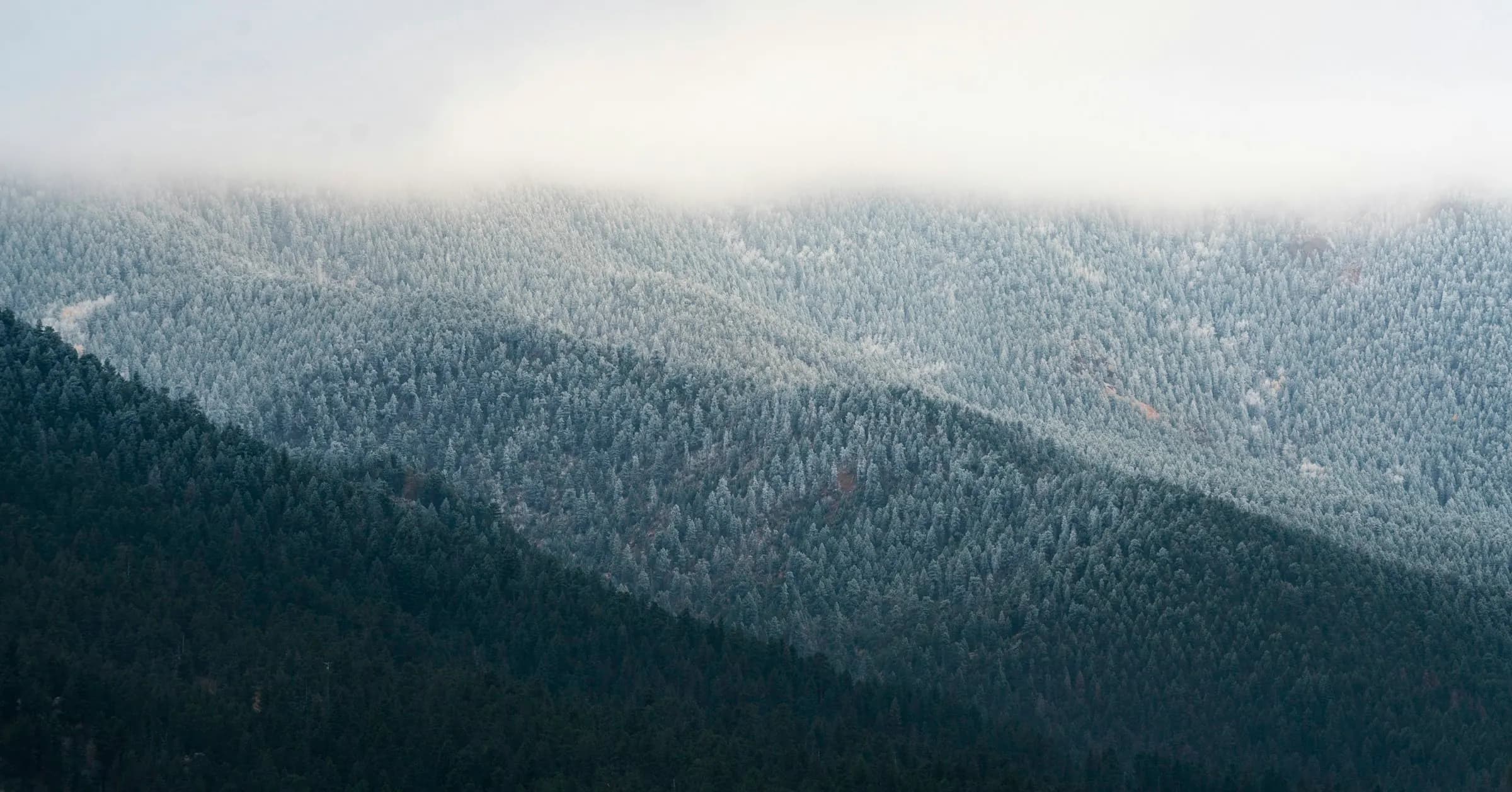 Snow-dusted forested hills under low cloud.